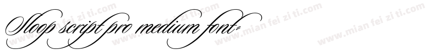 Sloop script pro medium font字体转换